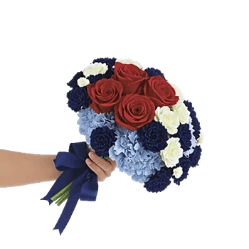 Crimson Rose Elegance