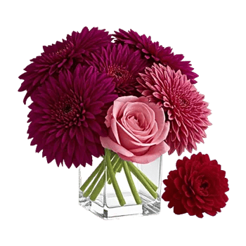 Ruby Petal Cascade