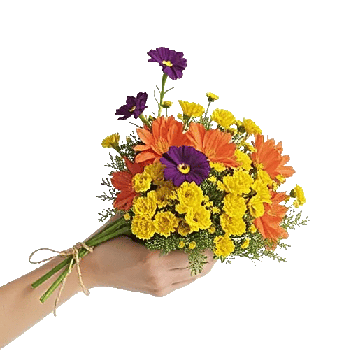 Petal Radiance Bliss