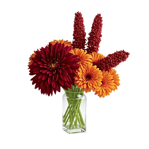 Crimson Blossom Harmony