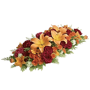 Delicate Petal Cascade