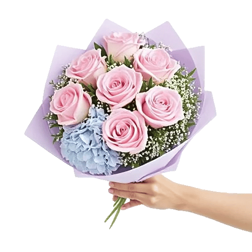Pastel Pink Roses