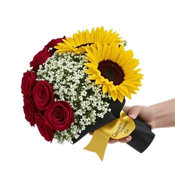 Crimson Rose Elegance