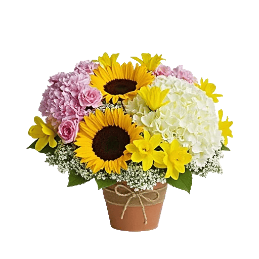 Amber Sunflower Glow