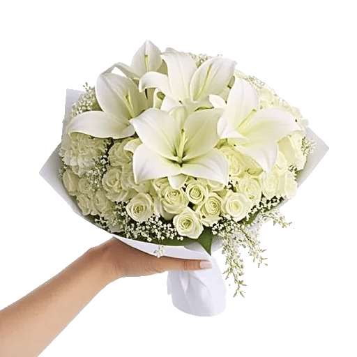 Elegant Calla Lilies