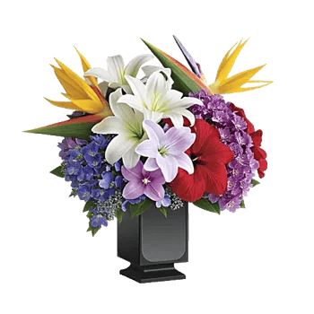 Modern White Orchids