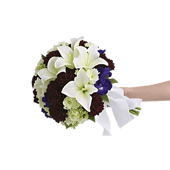 Delicate Petal Cascade