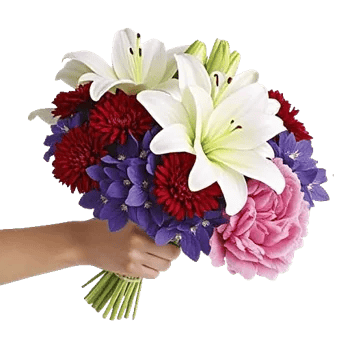 Blossom Harmony Display