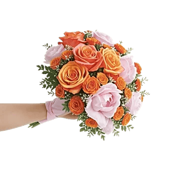 Pastel Pink Roses