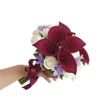 Elegant Calla Lilies