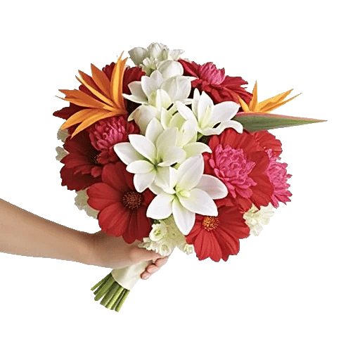 Modern White Orchids