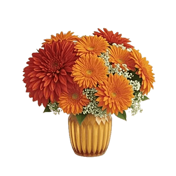 Radiant Bloom Cascade