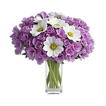 Petal Radiance Bliss