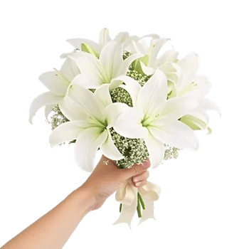 Minimalist White Orchids