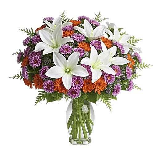 Ivory Blossom Radiance