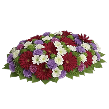 Radiant Bloom Cascade