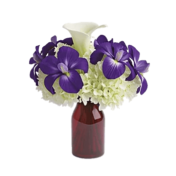 Elegant Calla Lilies