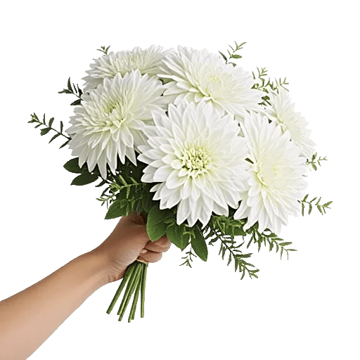 Ivory Blossom Radiance
