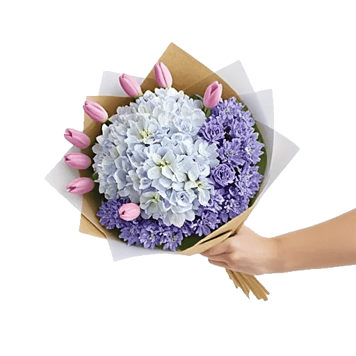 Serene Petal Harmony