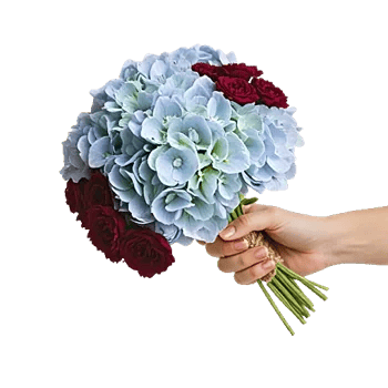 Sapphire Bloom Whisper