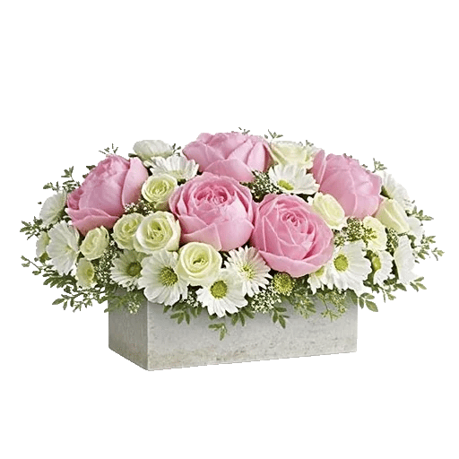Delicate Petal Cascade