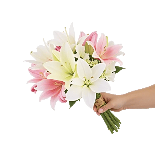 Ivory Garden Grace