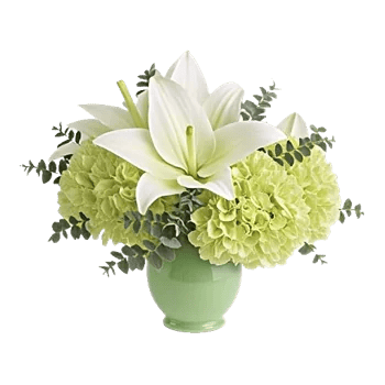 Serene Lily Cascade