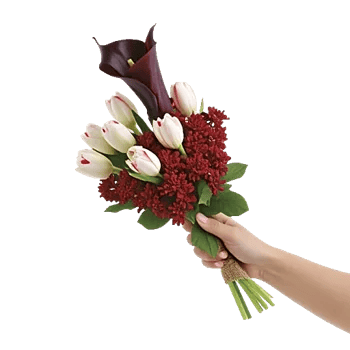 Elegant Calla Lilies