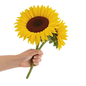 Golden Sunflower Bouquet