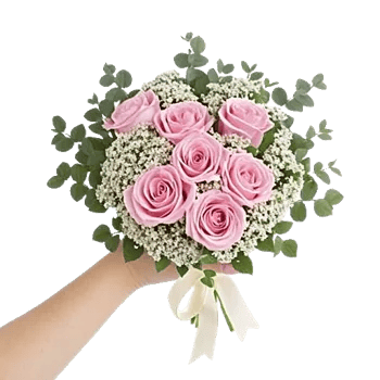 Blushing Rose Symphony