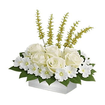 Delicate Petal Cascade