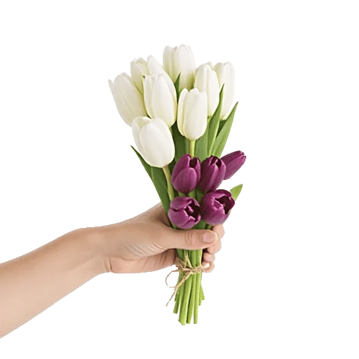 Velvet Tulip Display