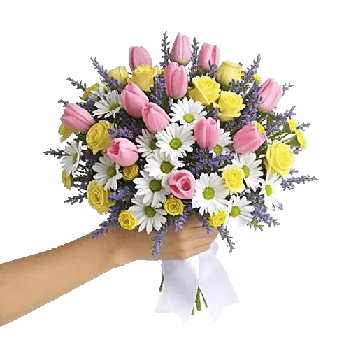 Blossom Harmony Display