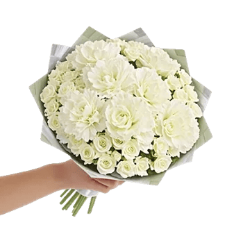 Delicate Petal Cascade