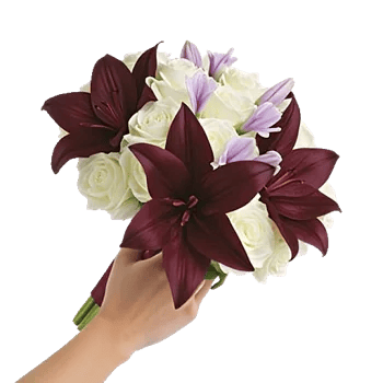 Elegant Calla Lilies