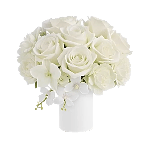 Ivory Blossom Radiance