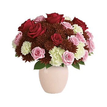 Radiant Rose Symphony