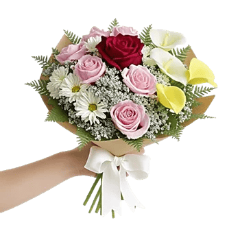 Crimson Rose Elegance