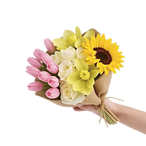 Blossom Harmony Display