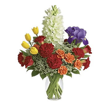 Ivory Blossom Radiance