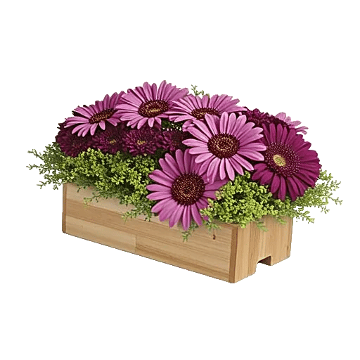 Lavender Bloom Grace