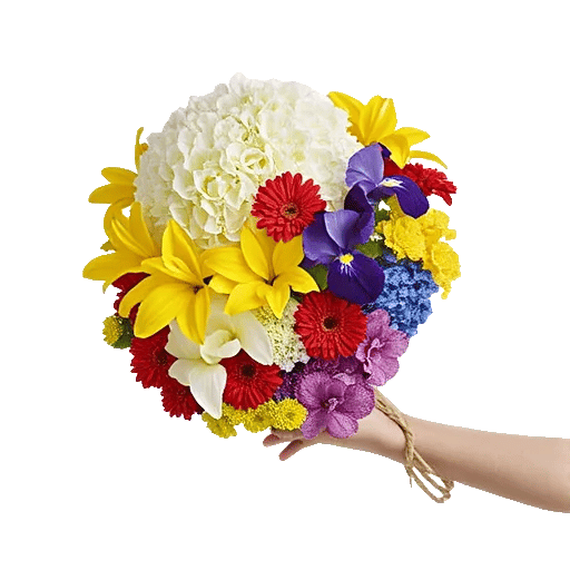 Ivory Blossom Radiance