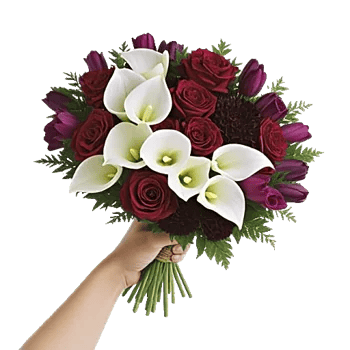 Elegant Calla Lilies