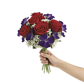 Crimson Rose Elegance