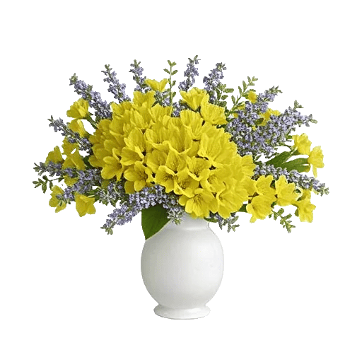 Ivory Blossom Radiance
