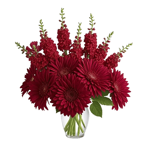 Crimson Blossom Harmony