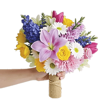 Blossom Harmony Display