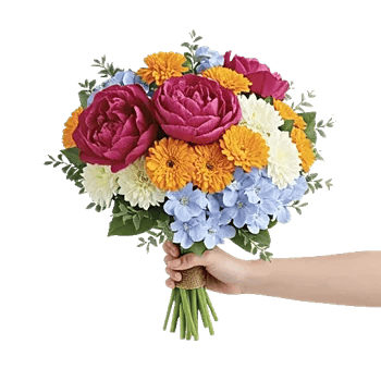 Petal Radiance Bliss