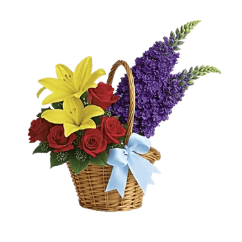 Blossom Harmony Display