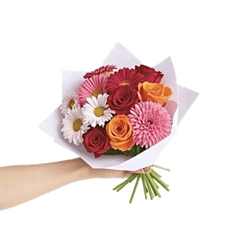 Petal Harmony Bliss